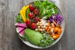 transition, plant based diet, important factors to know before transitioning to a vegan lifestyle, Plant based diet