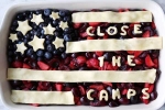 4th of july, close the camps, indian american activist padma lakshmi send a message to trump through a pie on 4th of july, Padma lakshmi