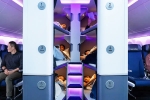 Air New Zealand Bunk Beds, Air New Zealand Bunk Beds 2027, air new zealand introduces bunk beds in economy flights, Shankar