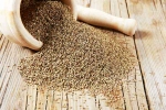 Ajwain health advantages, Ajwain diet, benefits of adding carom seeds to your diet, Viral