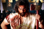 Animal Movie reviews, Animal Film, animal stands strong on monday despite drop, Animal movie