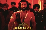 Animal Filmfare Awards, Animal movie, record breaking nominations for animal, Anil kapoor