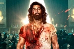 Animal collections, Sandeep Vanga, ranbir kapoor s animal opens on a strong note, Animal movie