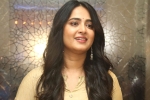 Anushka news, Anushka next movie, anushka s next project updates, Naveen polishetty
