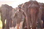 Aranya​ movie story, Aranya​ movie review, aranya movie review rating story cast and crew, Ranya