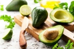 Avocado latest, Avocado disadvantages, add avocado in your diet to lose weight, Belly fat