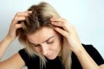 Dandruff, Dandruff Ayurvedic Remedies articles, ayurvedic remedies at home to get rid of dandruff, Rosemary