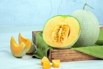 Muskmelon Seeds rich in, Muskmelon Seeds breaking, health benefits of muskmelon seeds, Cakes
