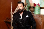 Bobby Deol Vs Alia Bhatt latest breaking, Bobby Deol, bobby deol to lock horns with alia bhatt, Yrf