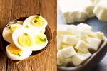 Boiled Eggs vs Paneer Cubes best, Boiled Eggs vs Paneer Cubes new breaking, boiled eggs vs paneer cubes best option as protein snack, Amino acids Boiled Eggs vs Paneer Cubes best, Boiled Eggs vs Paneer Cubes new breaking, boiled eggs vs paneer cubes best option as protein snack, Amino acids