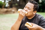Bread for weightloss, Bread for weightloss benefits, will bread help in weightloss, French