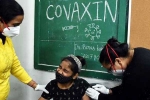 Covaxin latest, Covaxin side impacts, covaxin infected 50 percent of the teens, Covaxin in teens