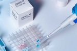 covid-19, sars-cov-2, studies find the incidence of covid 19 reinfection is low, Monkeys