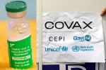 Covishield, Indian government, sii to resume covishield supply to covax, Covaxin