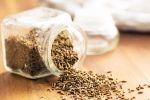 Cumin for Chicken, Cumin replacement, can cumin replace eggs and chicken for b12, Animal