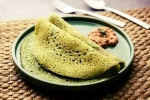 Curry Leaves Dosa new updates, Curry Leaves Dosa latest, recipe curry leaves dosa, Sambar