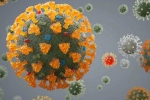 Delta plus Coronavirus, Delta plus cases, all you need to know about the new delta plus variant of coronavirus, Csir