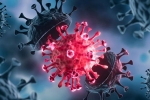 USA Coronavirus, USA Coronavirus breaking news, delta variant makes usa tensed again, Usa coronavirus