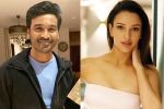 Triptii Dimri next movie, Triptii Dimri next movie, dhanush to romance animal actress triptii dimri, Comedy