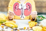 Healthy Kidneys, Healthy Kidneys health tips, food items to include in your diet for healthy kidneys, Kidney health