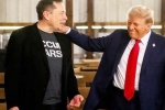 Donald Trump statements, Donald Trump news, donald trump s praise for musk s starlink, Aditya