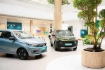 EV car sales September 2024, September 2024 car sales, electric car and suv sales reach lowest in september 2024, Mg windsor ev