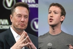 Elon Musk Vs Mark Zuckerberg new updates, Mark Zuckerberg, elon musk vs mark zuckerberg rivalry, Lol