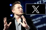 X subscription latest, X subscription paid, elon musk announces that x would be paid for everyone, Subscriptions