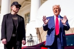 Donald Trump, Donald Trump, elon musk asks donald trump to reverse china tariffs, Elon musk