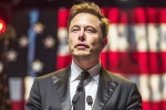 Elon Musk, Elon Musk - Donald Trump, is elon musk in the trump cabinet, Donald trump and elon musk