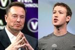 Elon Musk and Mark Zuckerberg news, Elon Musk and Mark Zuckerberg flight, elon vs zuckerberg mma fight ahead, Lex fridman