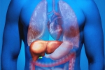 Fatty Liver in Youngsters tips, Fatty Liver, why is fatty liver affecting youngsters, Physical activity
