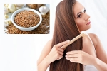 Flaxseeds latest breaking, Flaxseeds health benefits, how flaxseeds can help for a long and healthy hair, Recipe