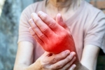 Foods for Inflammation latest, Foods for Inflammation new updates, magical indian superfoods to fight inflammation, Animal