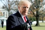 senators, US senators, former u s senators warn of constitutional crisis under trump, Playboy