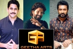 Geetha Arts new announcements, Geetha Arts, geetha arts to announce three pan indian films, Boyapati srinu