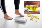 Green Tea for Weight loss breaking news, Green Tea for Weight loss recent study, can consuming green tea really help in weight loss, Skin care