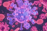 HMPV Virus case India, HMPV Virus case breaking, first hmpv virus case detected in india s bengaluru, Bangalore