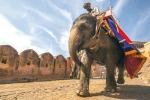 heritage tour meaning, south india heritage tour, 10 best heritage tours in india, Sambar