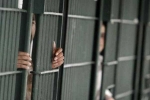 Indians, illegal crossing, over 2 300 indians in u s jails for illegal crossing of border report, Punjabis