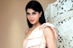 Sukesh Chandrashekhar, Jacqueline Fernandez latest, jacqueline fernandez files complaint against sukesh chandrashekhar, Jacqueline fernandez