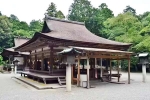 Japan Viral Mikami Shrine breaking news, Japan Viral Mikami Shrine latest breaking, why are travellers flocking to japan s viral mikami shrine, Love