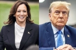 Donald Trump, Donald Trump, kamala harris leads donald trump in the new poll, A new survey