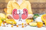 Kidneys Health important, Kidneys Health breaking, how to keep your kidneys healthy, Pomegranate