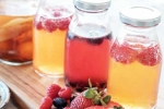 Kombucha and Fermented Foods breaking, Kombucha and Fermented Foods breaking, health benefits of kombucha and fermented foods, Protein