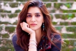 Chandigarh, Bollywood, kriti sanon tested positive for covid 19, Neetu kapoor