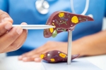 Liver Health care, Liver Health latest, factors that worsens your liver health, Obesity