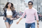 Rahul Ravindran, Manmadhudu 2 budget, manmadhudu 2 trailer is packed with entertainment, Rahul ravindran