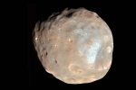 Martian Moon by NASA, NASA breaking, nasa s pic of martian moon phobos breaks the internet, Red planet
