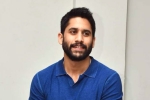 Naga Chaitanya updates, Naga Chaitanya new movie, change of plans for naga chaitanya, Suresh babu
